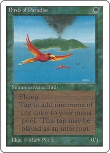 Birds of Paradise Unlimited Edition